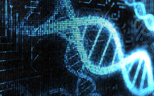 Digital DNA