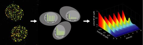 Wolf Lab background image