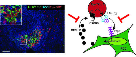 H&ouml;pken Lab background image