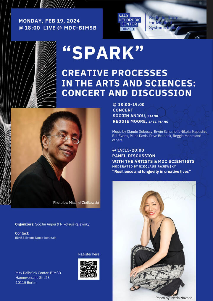 Poster Spark 5