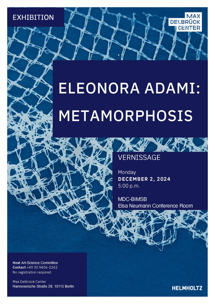 Poster Metamorphosis