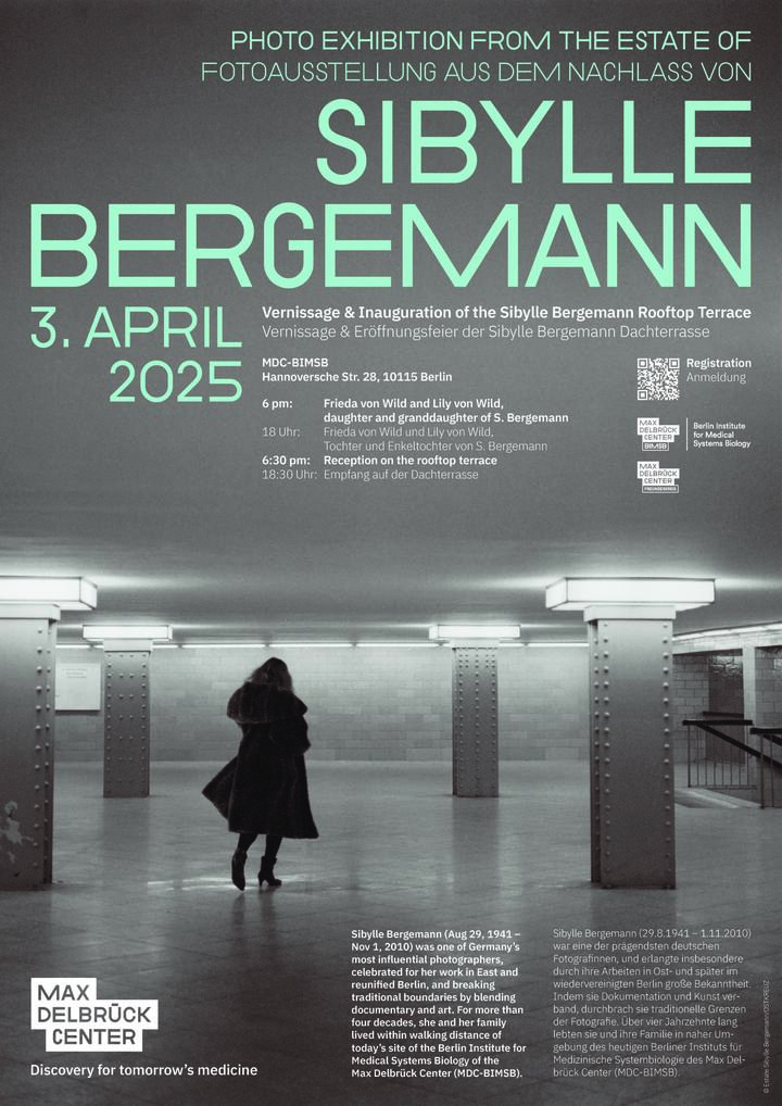 Sibylle Bergemann Plakat