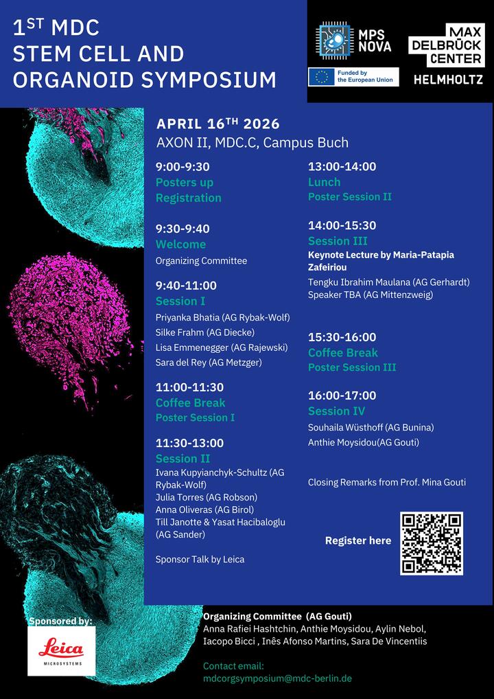 Poster Organoid Symposium