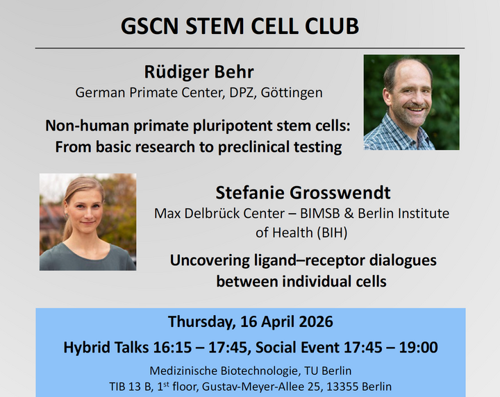 Poster GSCN Stem Cell Club April 2026