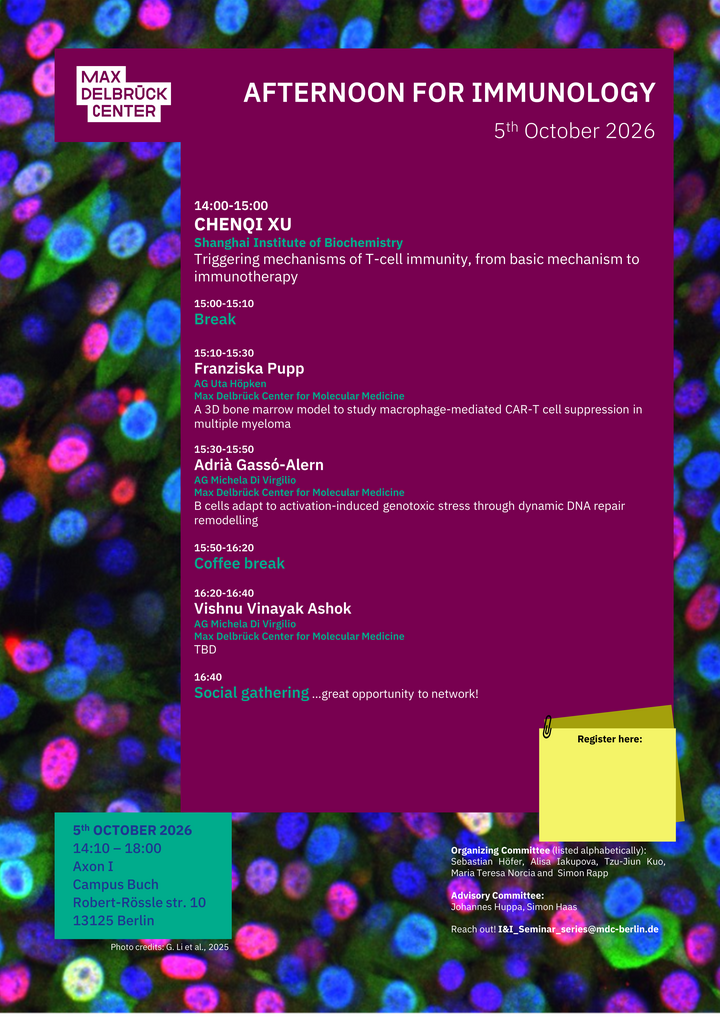 Poster I&I Afternoon October 2026