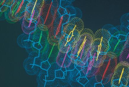 Wissenschaftliche Grafik