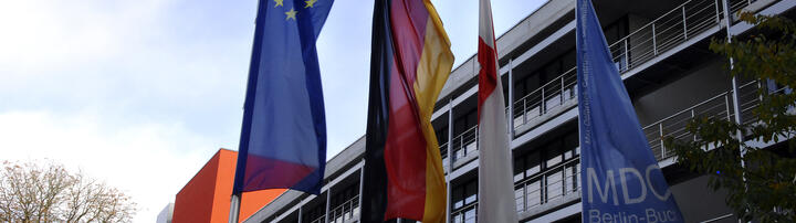 Flags