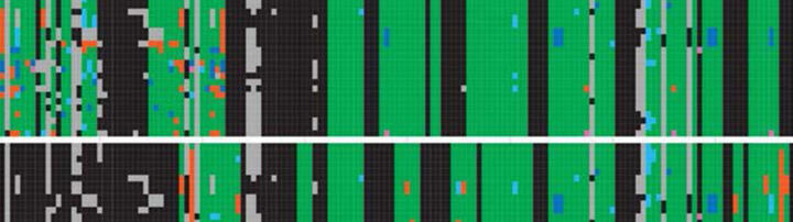 Meyer Lab Header