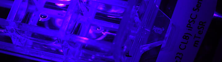 iPS microscopy