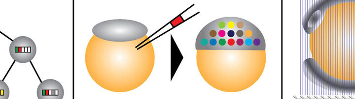 Junker Lab Header Junker Lab Header