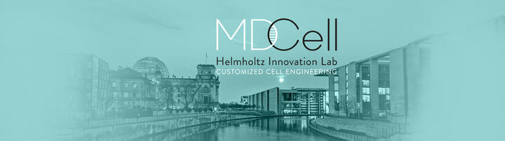 MDCell InnovationLab Logo MDCell InnovationLab Logo