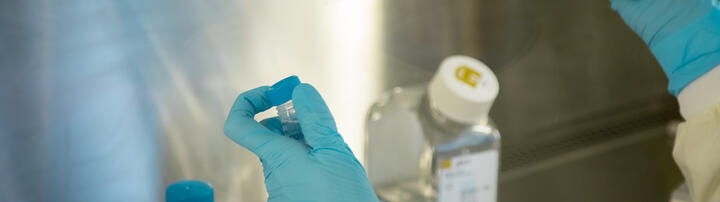 Pipette_Rajewsky