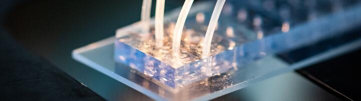 miniature chips