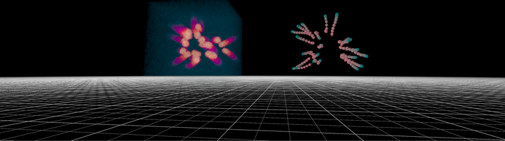 3D volume of synthetic cell migration data, and the corresponding geometry of the cell trajectories