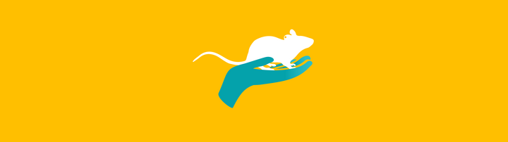 Our laboratory animals | Max Delbrück Center Our laboratory animals | Max Delbrück Center