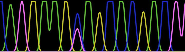 Sanger sequencing file einer Zellpopulation