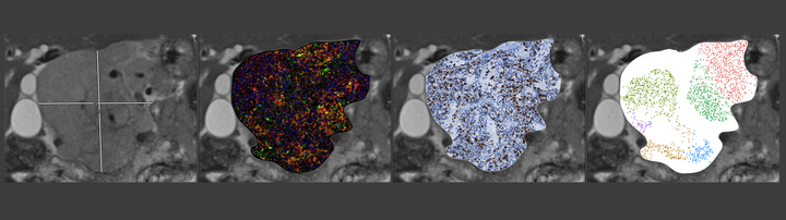 Scientific image