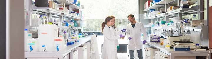 scientists working together in a lab