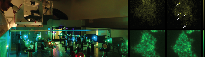 lab and scientific images