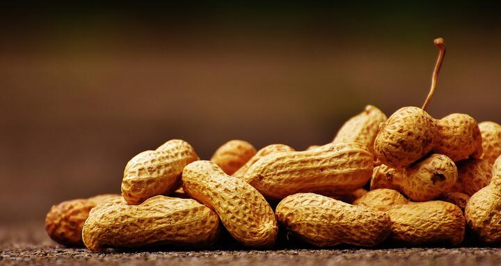 Peanuts