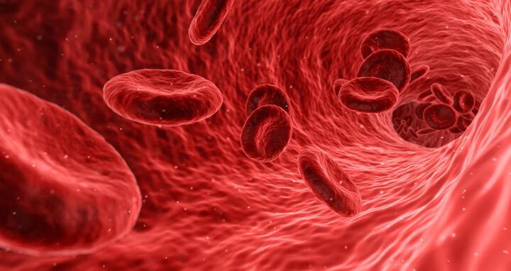 Illustration of blood in a blood vessel