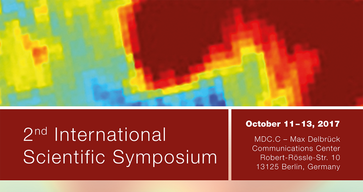 Poster "Functional renal imaging"