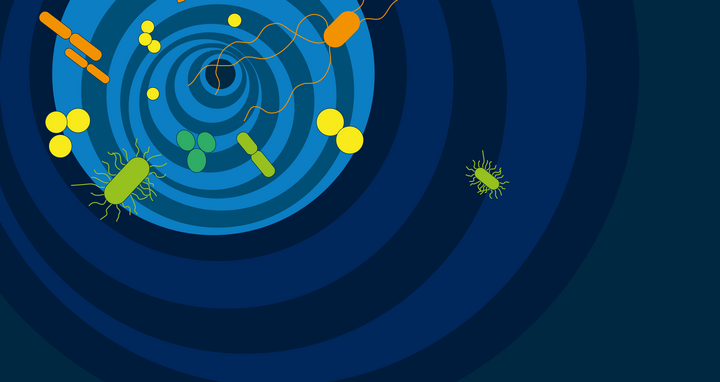 Lange Nacht der Wissenschaften 2019