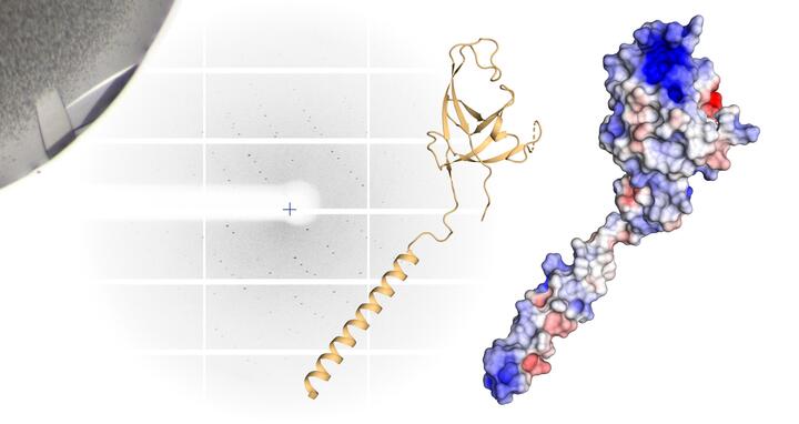 molecule model