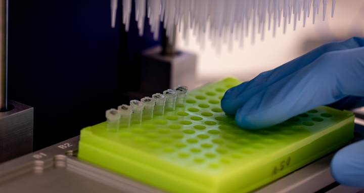 Sequenzierung der Booten-RNA und ihrer Enden