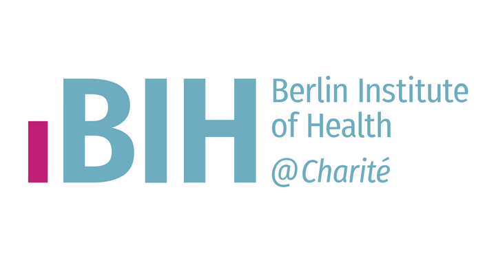 BIH Logo