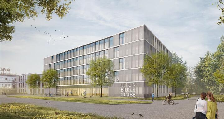 BerlinBioCube Entwurf
