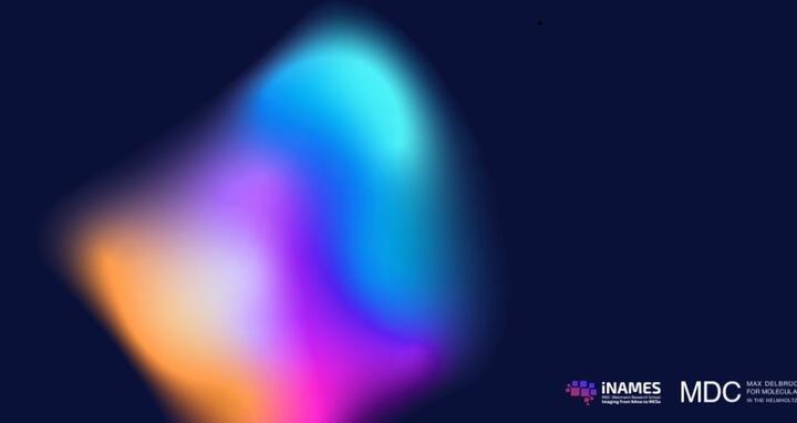 Inames