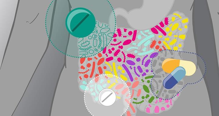 Graphic of a gut and its microbiomes