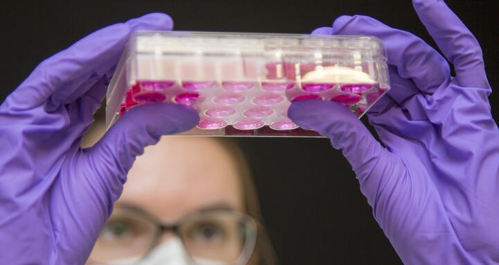 Box with artificial heart tissue