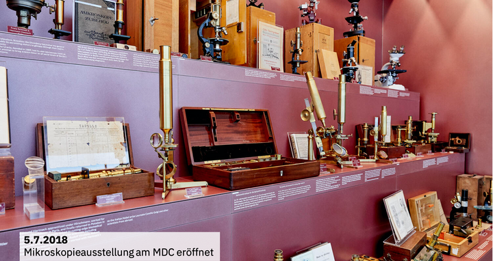 Mikroskopieausstellung am MDC er&ouml;ffnet