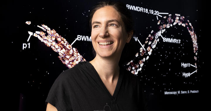 Dagmar Kainm&uuml;ller