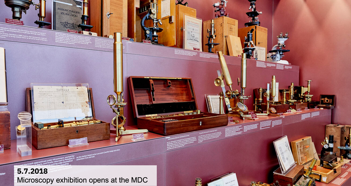 Microscopy exhibition opens at the MDC