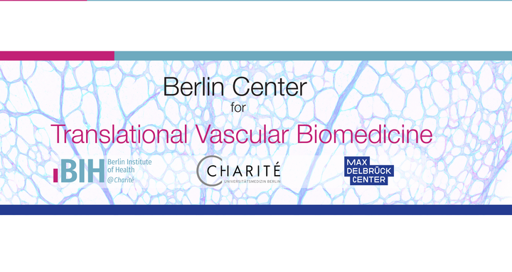 VasBio Banner Neu