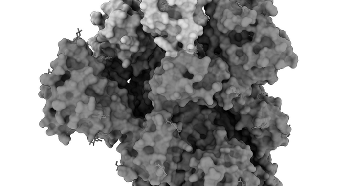 Struktur eines Proteins