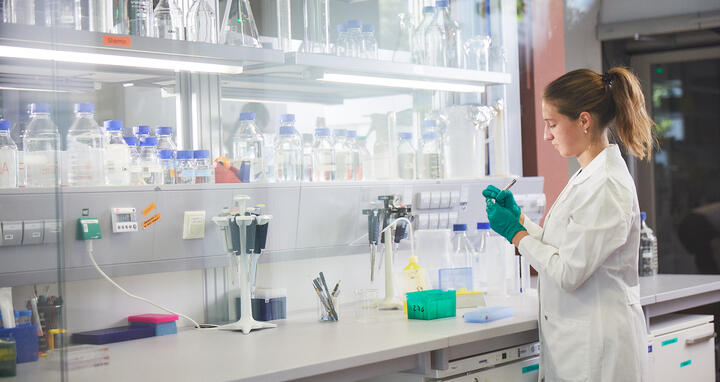 Workbench in a lab