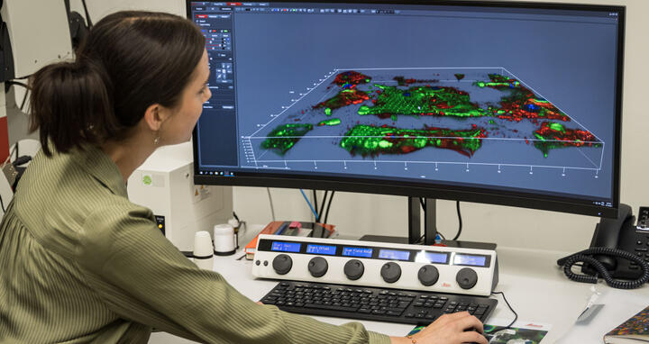 Frau arbeitet an wissenschaftlichen Aufnahmen am Computer