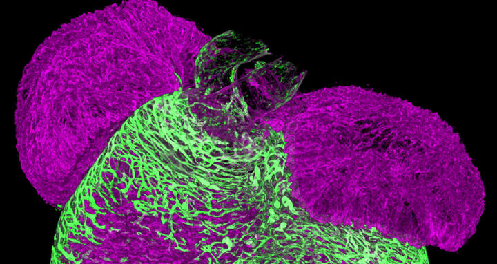 scientific image