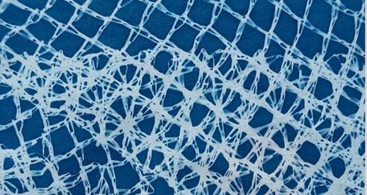 Header Metamorphosis