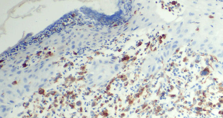 Scientific image