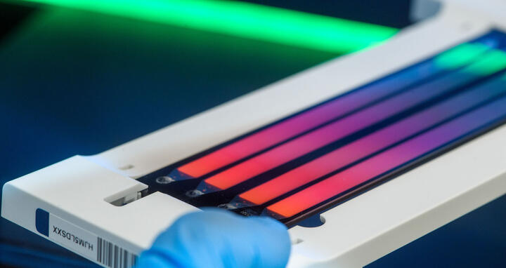 Scientific image