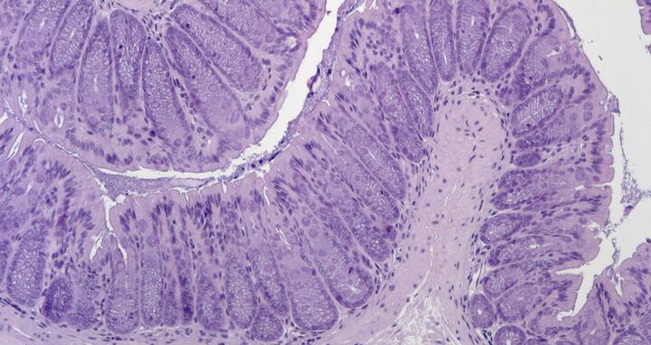 Scientific image