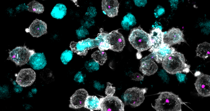 Scientific image