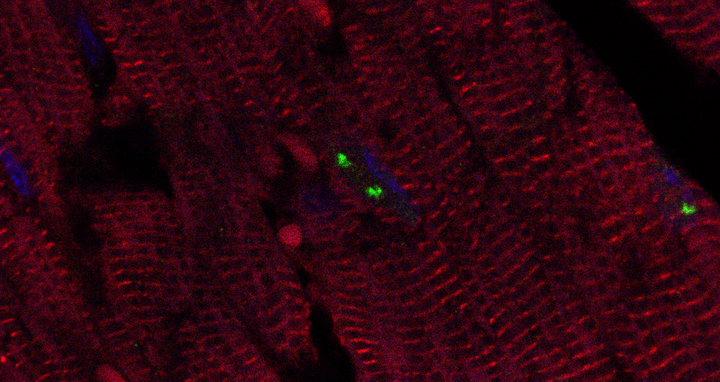 Wissenschaftliches Bild