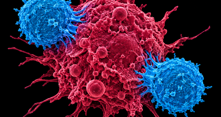 CAR T cells attacking a cancer cell