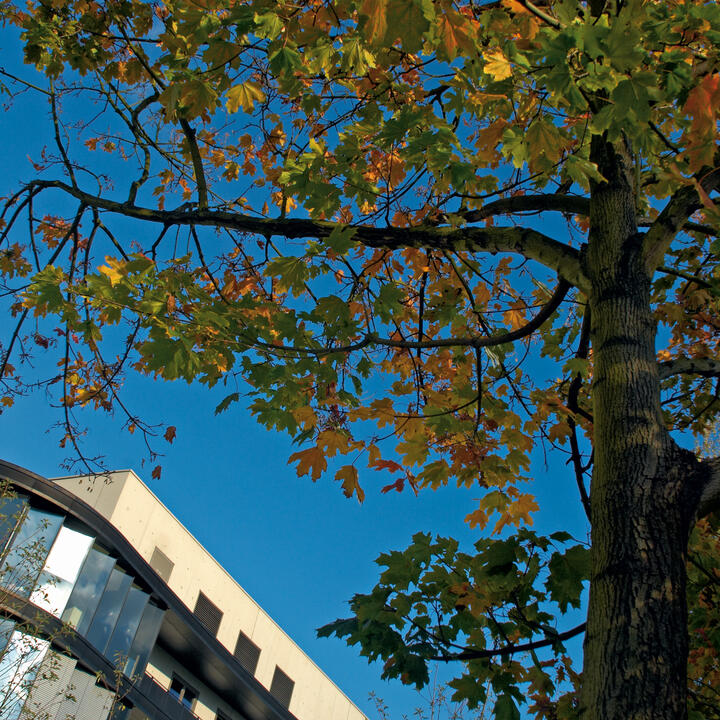 PhD Program Brochure